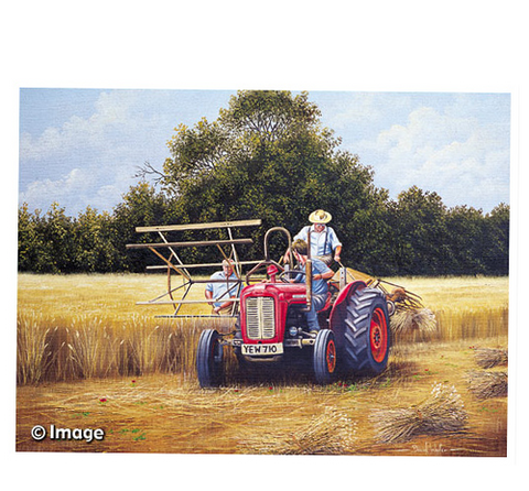 Vintage Harvest (ART 16)