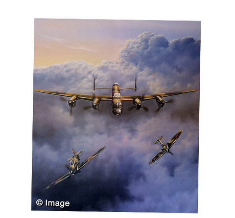 Classic Warplanes of the BBMF (ART 05)